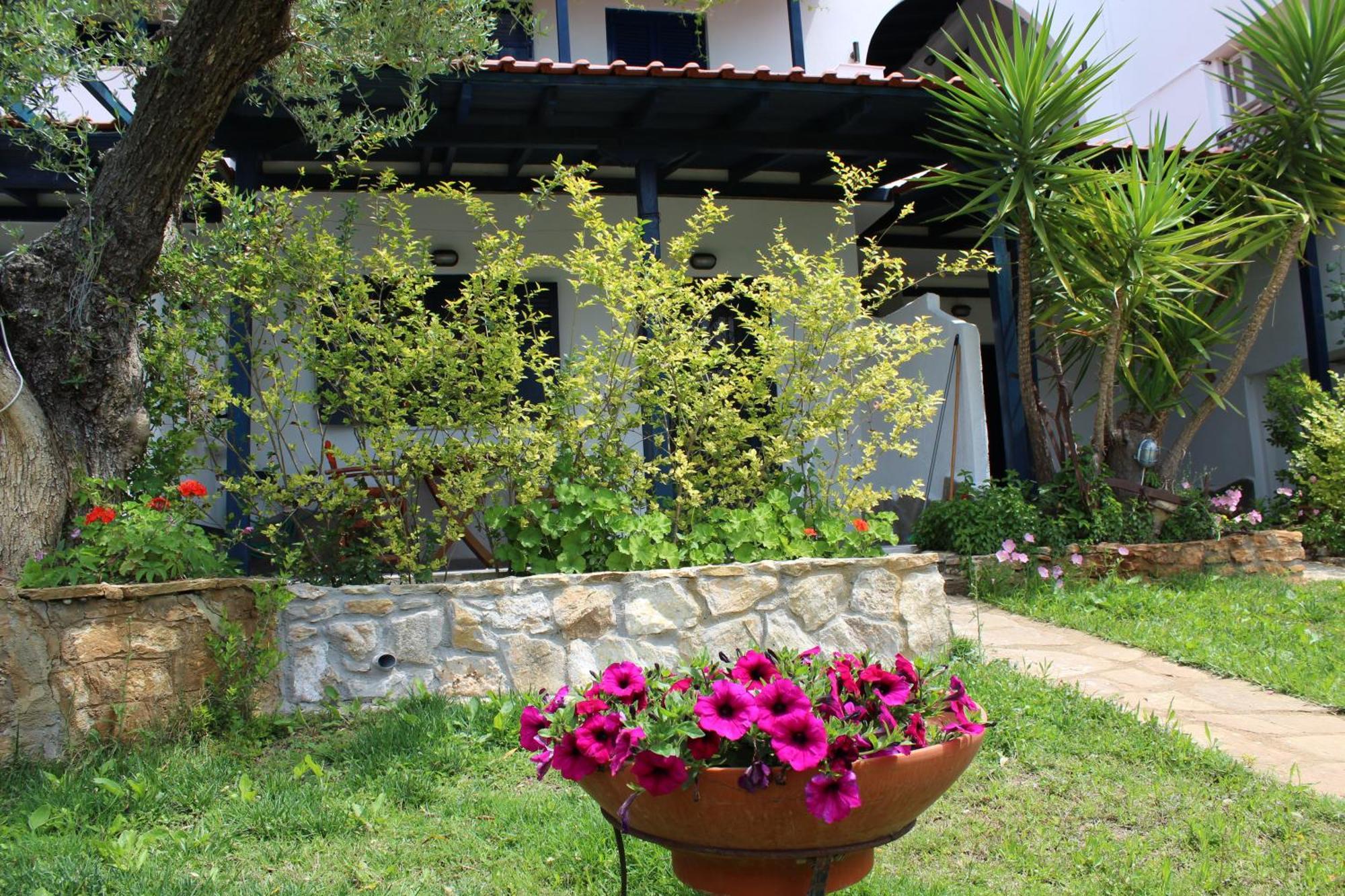Olive House Apartment Елия Екстериор снимка