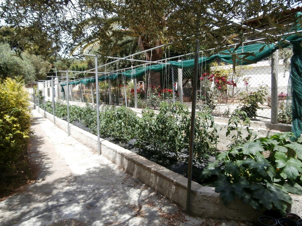 Olive House Apartment Елия Екстериор снимка