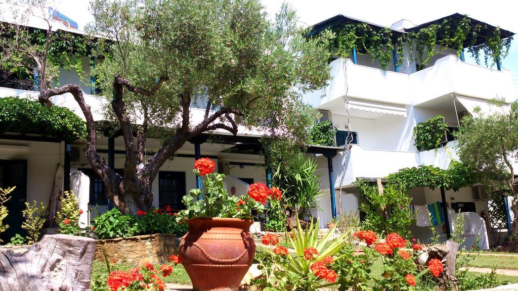 Olive House Apartment Елия Екстериор снимка
