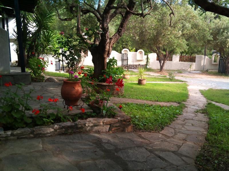 Olive House Apartment Елия Екстериор снимка
